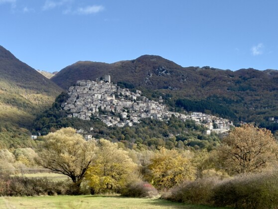 Pereto AQ