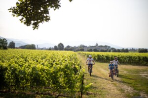 Franciacorta_cicloturismo famiglia