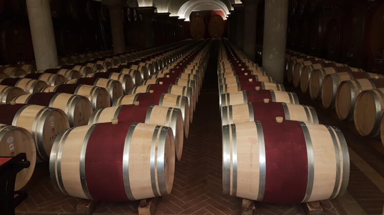 Chiaretto di Bardolino, cantina Zeni_ph. Marco Giovenco