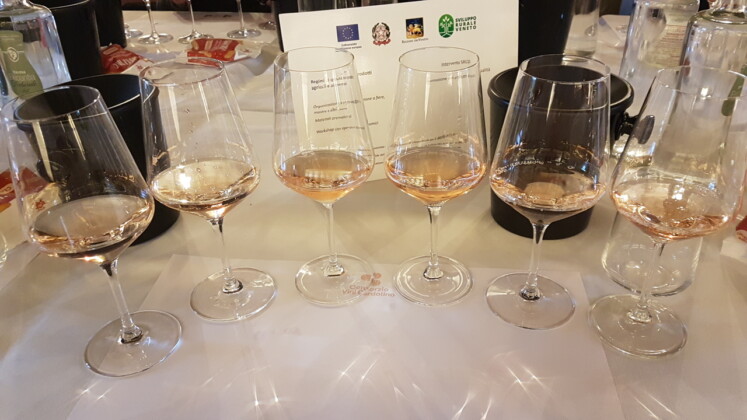 Chiaretto di Bardolino, degustazione_ph. Marco Giovenco