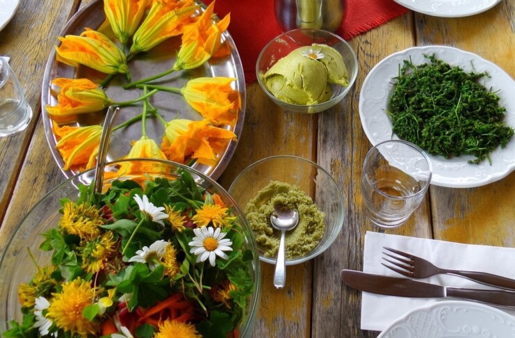 Kräuterwanderung_©Christiane Gruber