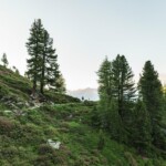 il sentiero dei cirmoli, Adlerweg tappa numero 13 (c)Tirol Werbung, Sebastian Schels