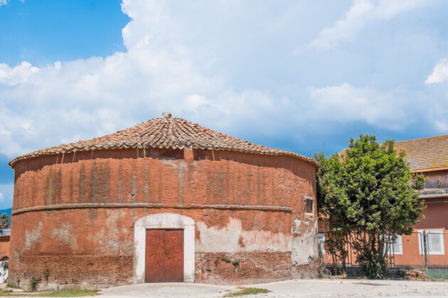 L'azienda agricola