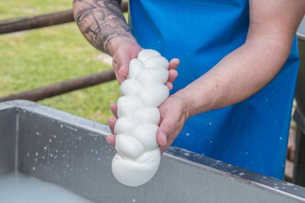 La treccia di mozzarella