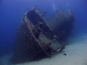 Isola d'Elba_Relitto pomonte - Ph. Riccardo Burallli - Diving in Elba