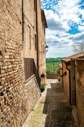 OSTRA_FrancoSimoncini©