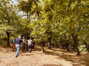 Tappa Bologna 2024_Escursione Monzuno_Appennino bolognese