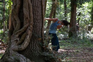Albero Madre, O Thiasos
