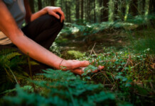 Anima e Corpo: a Sesto il congresso sulla longevità integrata Nutriva Academy_congresso