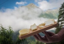 Festival del Formaggio in Valle Aurina. Ecco sua maestà il Graukäse Festival del Formaggio a Campo Tures in valle Aurina