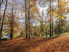 Brunico, ph. wisthaler.com