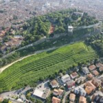 Brescia, Vigneto Pusterla