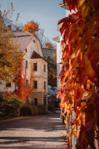 Bruneck ©BruneckKronplatzTourismus