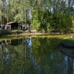 Villa Flavia - Fonte Festival del Viaggiatore_ph. FdV