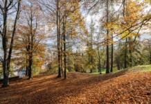 Brunico d’autunno: natura, gusto e cultura nel cuore della Val Pusteria Brunico, ph. wisthaler.com