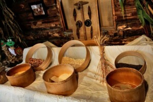 Sutrio_Farine di Flor