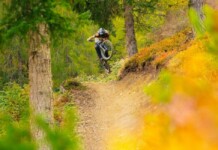 Autunno a Plan de Corones: foliage in sella Ciclista in Bike park Plan de Corones