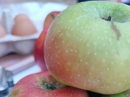 Sibillini in rosa, Tipicità