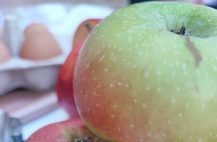 Sibillini in rosa, Tipicità