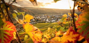 Winningen in autunno. Ufficio turistico di Koblenz, Johannes Bruchhof