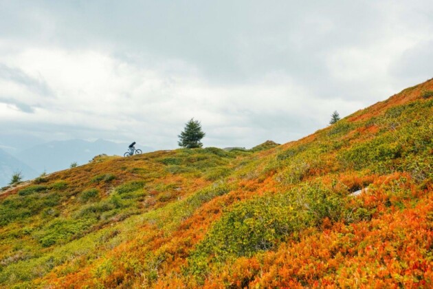 Bike park Plan de Corones, ph. Daniel Niederkofler