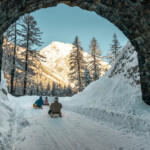 Discesa in slittino sul celebre percorso di 6 km da Preda a Bergün.