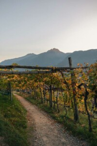 lanaregion.it_Autunno