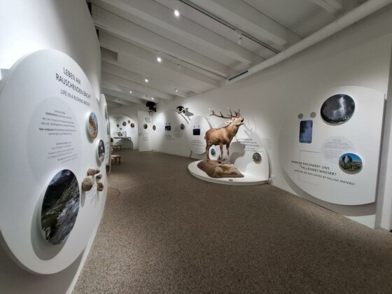 Avvento in Carinzia. A Mallnitz si trova il BIOS, sede espositiva e didattica del Parco Nazionale degli Alti Tauri_ph. Marco Giovenco