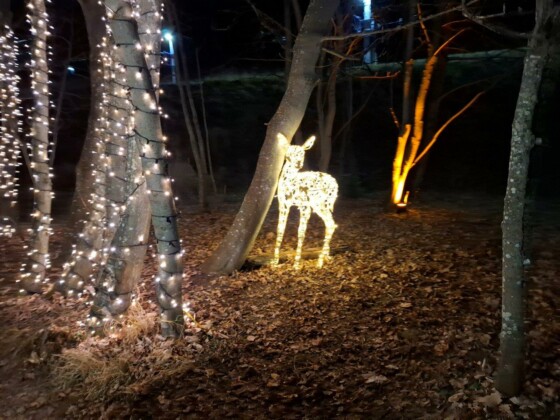 Avvento in Carinzia, Mallnitz. La suggestiva via delle luci_ph. Marco Giovenco