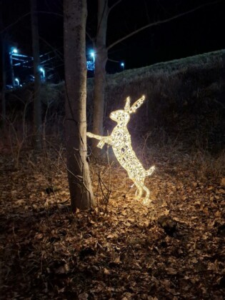 Avvento in Carinzia, Mallnitz. La suggestiva via delle luci_ph. Marco Giovenco