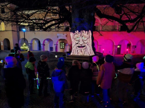 Avvento in Carinzia. A millstatt, tra le attrazioni pi&ugrave; amate dalle famiglie c&rsquo;&egrave; Lindarius, il tiglio parlante di 750 anni che incanta grandi e piccini con storie e leggende del passato. Ph. Marco Giovenco