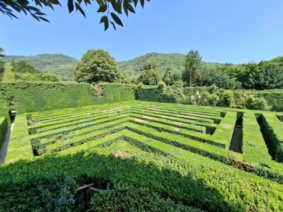 Villa Barbarigo Pizzoni Ardemani a Valsanzibio di Galzignano Terme. Ph. Marco Giovenco