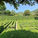 Villa Barbarigo Pizzoni Ardemani a Valsanzibio di Galzignano Terme. Ph. Marco Giovenco