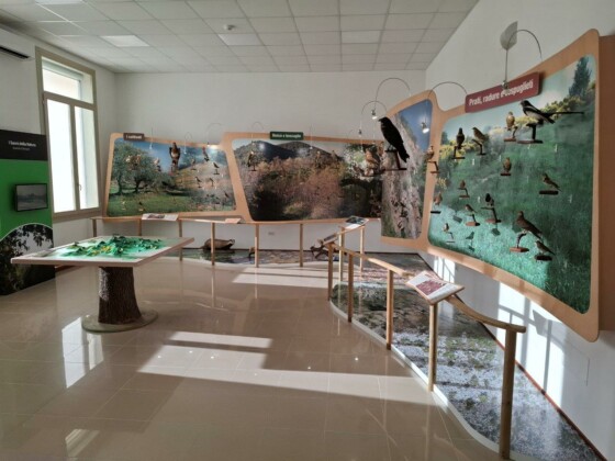 MuCE - Museo dei Colli Euganei_Ph. Marco Giovenco