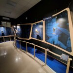 MuCE - Museo dei Colli Euganei_Ph. Marco Giovenco