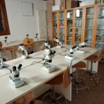 Casa Marina, il centro di educazione ambientale del Parco Regionale, offre un contatto autentico con il cuore verde dei colli. Dispone anche di ostello e offre un laboratorio didattico per studenti_Ph. Marco Giovenco