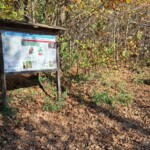 Il Parco Regionale dei Colli Euganei è ricco di percorsi e sentieri ideali per trekking e bike. Sono frequentati in ogni stagione dell'anno, anche in inverno_Ph. Marco Giovenco