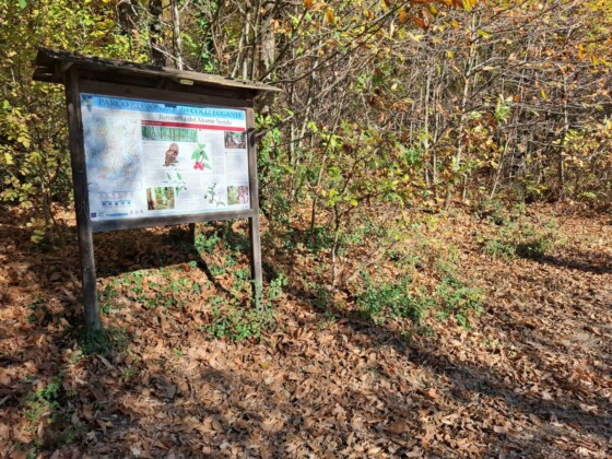 Il Parco Regionale dei Colli Euganei è ricco di percorsi e sentieri ideali per trekking e bike. Sono frequentati in ogni stagione dell'anno, anche in inverno_Ph. Marco Giovenco