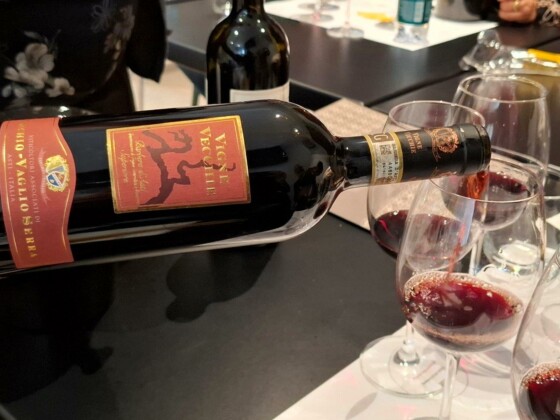 Cantina Vinchio Vaglio, Monferrato. Ph. Marco Giovenco