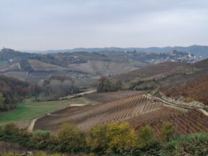 Monferrato, vitigni Vinchio Vaglio_ph. Marco Giovenco