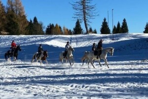Visit Zoncolan_Trekking a cavallo sulla neve_Monte Zoncolan_Randis Ranch