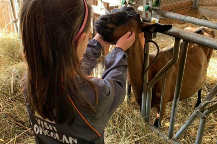 06 Visit Zoncolan_Sutrio, Fattoria diffusa Visit Zoncolan_Sutrio, Fattoria diffusa