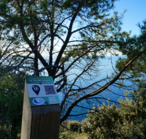 Fondazione Acqua dell'Elba, Via dell’Essenza - ginepri