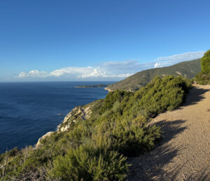 Fondazione Acqua dell'Elba, Via dell’Essenza