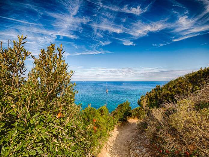 Fondazione, Via dell’Essenza, Fondazione Acqua dell'Elba, Via dell’Essenza