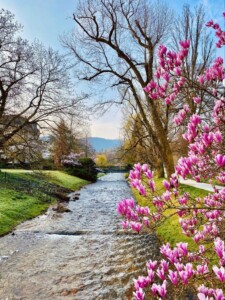 Baden-Baden_Lichtentaler Allee in spring (c) Baden-Baden Kur & Tourismus GmbH, C. Cancellieri