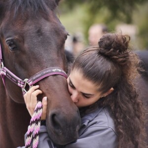 Cavallo del Catria, ph. Fiera Cavalli