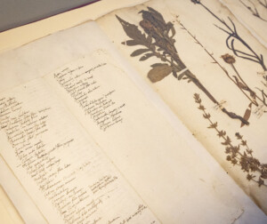 Convento di San Francesco, Erbario settecentesco - Crediti Jacopo Grassi 2