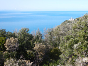 Elba via dell'essenza via dell'erica_faro_ foto A_Marchese 2