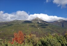 Monte Catria, la montagna condivisa che punta sul turismo sostenibile Monte Catria, ph. Marco Giovenco